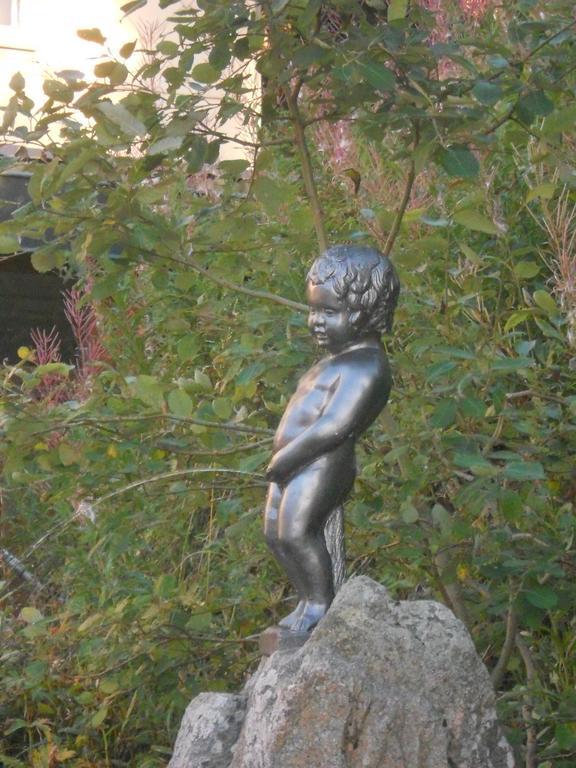 Hotel Restaurant Du Chalet Stosswihr المظهر الخارجي الصورة