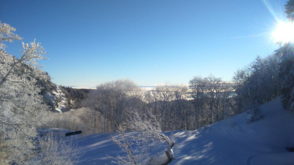 Hotel Restaurant Du Chalet Stosswihr المظهر الخارجي الصورة