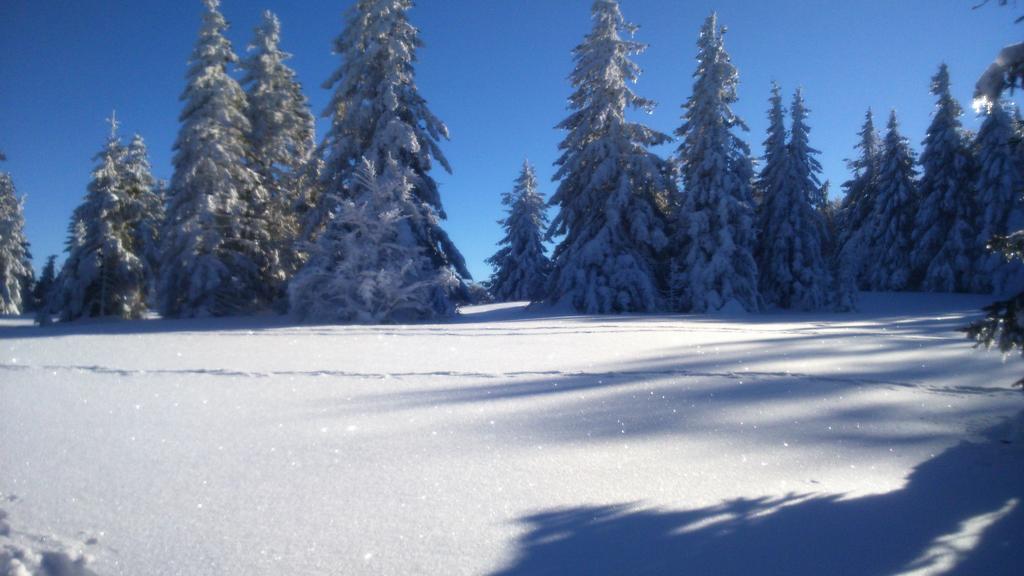 Hotel Restaurant Du Chalet Stosswihr المظهر الخارجي الصورة