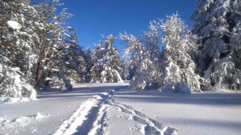 Hotel Restaurant Du Chalet Stosswihr المظهر الخارجي الصورة