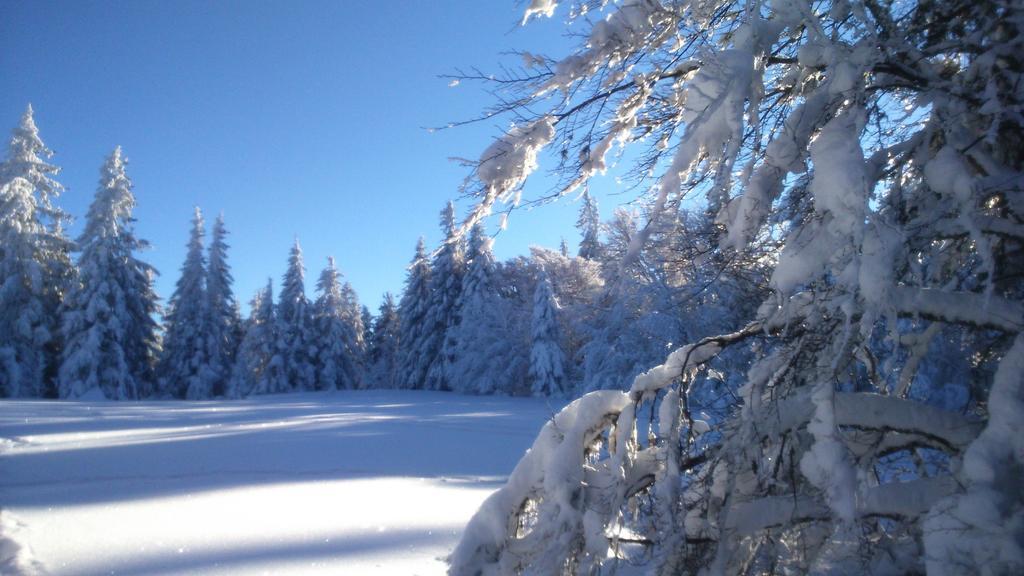 Hotel Restaurant Du Chalet Stosswihr المظهر الخارجي الصورة